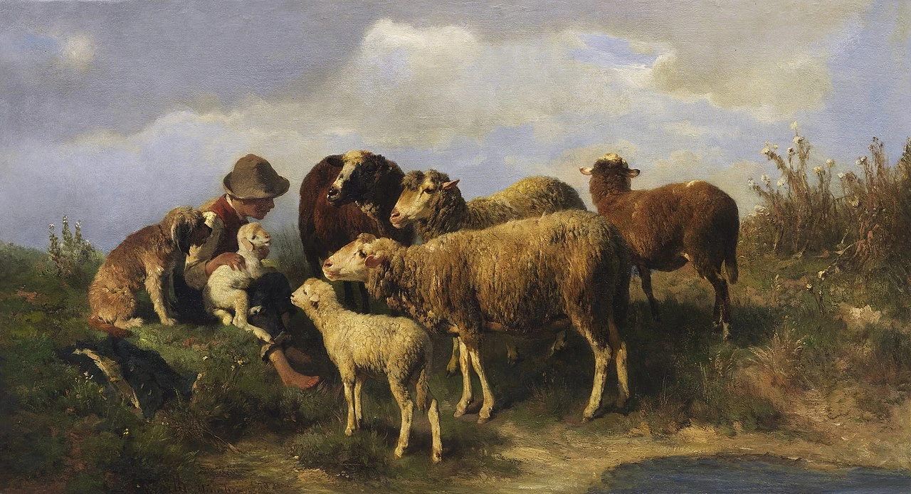Pastorello con pecora